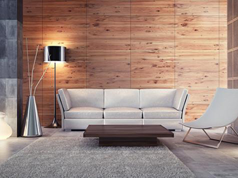 Salon pour l'application du diffuseur