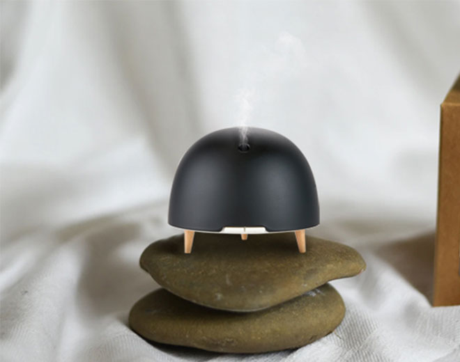 La méthode du bain d'aromathérapie du diffuseur d'huile essentielle de protection de l'environnement